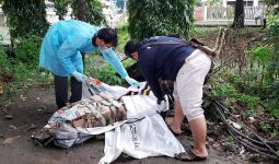 Info Terkini dari Kompol Satria soal Mayat Wanita Terbungkus Kardus di Cakung - JPNN.com