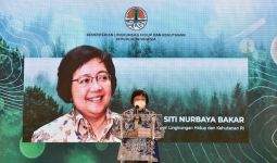 Kabar Terbaru Soal Penanganan Hutan Adat dan Pencemaran Limbah Industri di Danau Toba - JPNN.com