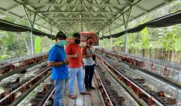Usaha Peternakan Ayam, Santri di Tabalong Meraup Omzet Rp 16,5 Juta Per Bulan - JPNN.com