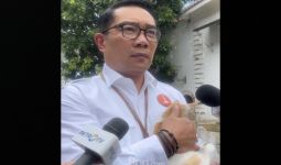 Ridwan Kamil Menggendong Kucing Warna Oranye, Katanya seperti Jakarta - JPNN.com