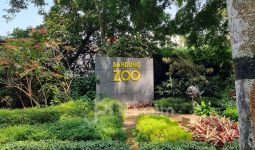 Begini Langkah Pemkot Cari Pengelola Baru Bandung Zoo - JPNN.com