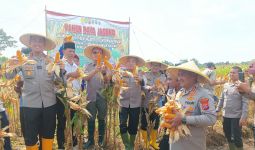 Polres Serang & Petani Gelar Panen Raya Jagung di Lahan Seluas 10 Hektare - JPNN.com