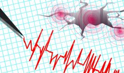 BMKG Imbau Warga Jawa Tengah Tetap Tenang Seusai Diguncang Gempa 2 Kali - JPNN.com