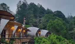 Perhutani Bakal Sanksi Tegas Tempat Wisata Alam yang Melanggar Aturan - JPNN.com