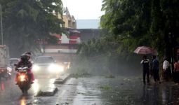 Hujan Deras dan Angin Kencang, Dua Pohon Tumbang di Jaksel Tumbang - JPNN.com