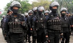 KKB Papua Makin Brutal, AMMI Mendesak TNI dan Polri Bertindak - JPNN.com