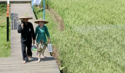 FAO Ungkap Kenaikan Harga Pangan Bikin 46 Juta Orang Kelaparan - JPNN.com