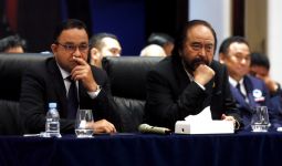 Elektabilitas Demokrat Melejit, NasDem Pengusung Anies Malah Melorot, Kok Bisa? - JPNN.com