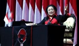 Keren, Bu Mega Dijuluki Ratu Preman, Punya Banyak Semut Merah - JPNN.com