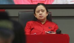 Puan Komentari Pernyataan Gibran Ingin Menggetarkan Jawa Tengah - JPNN.com