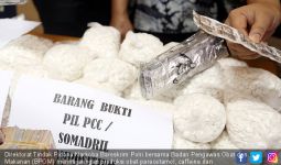 Wuiih...Jaga Gudang Pil PCC Digaji Rp 9 Juta Tiap Bulan - JPNN.com