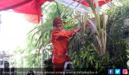 Disindir Fahri, Jokowi: Wong Ini Hajatan di Kampung - JPNN.com