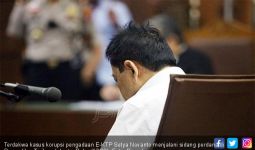 Besok Pengadilan Tentukan Nasib Papa Novanto - JPNN.com