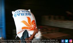 Margo: Beras Bekontribusi Paling Besar Pada Garis Kemiskinan - JPNN.com