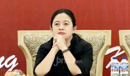 Puan Ingin Panglima TNI dan Kapolri Cukup Jalan Kaki 10 Menit Jika ke Istana di IKN Nusantara - JPNN.com