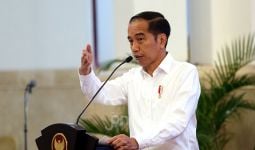 Jokowi Targetkan 3 Tahun Lagi Kendaraan Listrik Banyak Bermunculan di Indonesia - JPNN.com