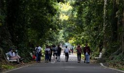 Libur Lebaran Kebun Raya Bogor Siapkan Sejumlah Wahana untuk Manjakan Masyarakat - JPNN.com