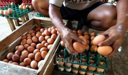 Harga Telur Ayam Mendadak Meroket, IKAPPI: Enggak Wajar - JPNN.com
