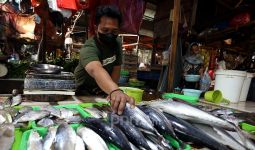 Tolong! Nelayan Sulit dapat Solar, Jangan Cuma Urus Minyak Goreng - JPNN.com