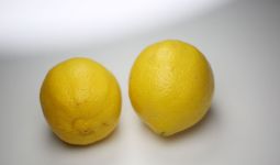 4 Manfaat Air Lemon yang Bikin Wanita Happy - JPNN.com