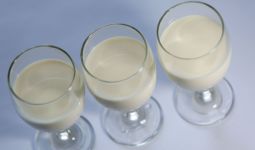 5 Minuman Sehat dan Bergizi Ini Ampuh untuk Menurunkan Asam Lambung - JPNN.com