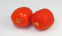 5 Manfaat Tomat yang Tidak Terduga, Bikin Wanita Bahagia - JPNN.com