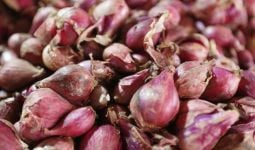 5 Manfaat Bawang Merah Campur Madu, Penyakit Ini Langsung Kabur - JPNN.com