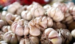 6 Bahaya Makan Bawang Putih Berlebihan, Bikin Penyakit Kronis Ini Makin Parah - JPNN.com