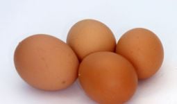 5 Manfaat Telur yang Tidak Terduga dan Unik - JPNN.com