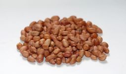 Waspada, Ini 4 Bahaya Makan Kacang Tanah Berlebihan, Nomor 1 Bikin Wanita Resah - JPNN.com