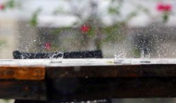 Prakiraan Cuaca di Sumsel Hari Ini, Hujan Lebat Disertai Angin Kencang, Waspada ya - JPNN.com