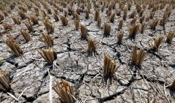 Dunia Hari Ini: El Nino Akan Menerjang Australia, Warga Diminta Bersiap - JPNN.com