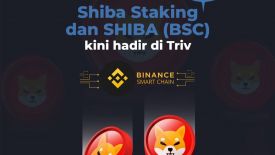 Kenalkan Fitur Baru, Triv Beri Keuntungan Besar Bagi Investor Shiba Inu