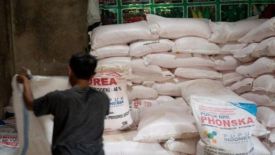 PC PMII Pamekasan Soroti Harga Pupuk di Atas HET