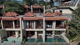 Venya Villa Ubud Bidik Investor Asing