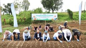 TJSL PELNI Resmikan Desa Mandiri Penghasil Sayur di Cianjur