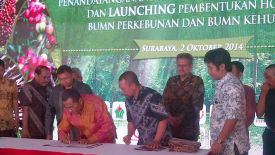 Holding BUMN Perkebunan dan Kehutanan Diresmikan di Hari Batik