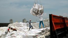 Pupuk Subsidi Langka, Satu Sak Tembus Rp 140 Ribu