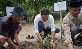 Penanaman 2000 Pohon bersama Prudential Syariah dan LAZ Al-Azhar - JPNN.com