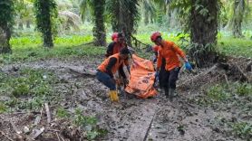 Basarnas Hentikan Operasi Pencarian Korban Longsor di Deli Serdang - JPNN.com