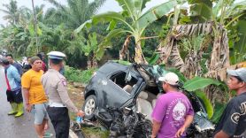 Bus Bintang Utara Tabrakan dengan Toyota Rush di Rohil, Dua Orang Tewas di Tempat   - JPNN.com