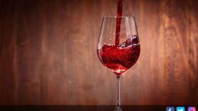 5 Khasiat Mengonsumsi Red Wine, Bikin Deretan Penyakit Ini Ogah Mendekat - JPNN.com