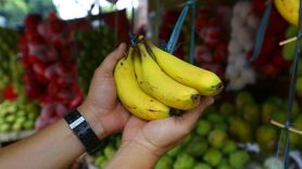 4 Manfaat Pisang, Bantu Turunkan Berat Badan - JPNN.com