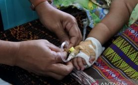 Kasus Demam Berdarah di NTT Naik Terus, Manggarai Barat Masih Rekor - JPNN.com