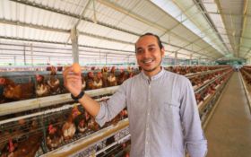 Tips Bagi Anda yang Ingin Beternak Ayam Kampung - JPNN.com Jogja