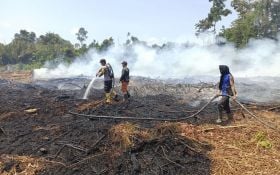 Daftar 11 Kecamatan Rawan Kebakaran Hutan dan Lahan di Purwakarta saat Musim Kemarau Tiba - JPNN.com Jabar