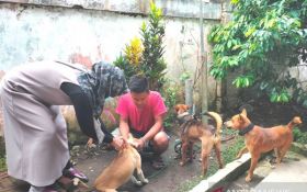 Rabies di Jembrana Bali Merajalela, Stok VAR Bikin Ketar-Ketir - JPNN.com Bali