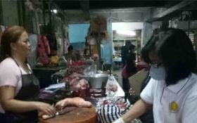 Stok Babi Hidup untuk Kebutuhan Galungan di Bali Mencukupi, Sebegini Datanya  - JPNN.com Bali