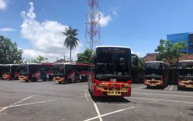 Kabar Gembira, Bus Trans Metro Dewata Segera Beroperasi Lagi, Koster Blak-blakan - JPNN.com Bali