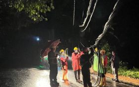 Jadwal Pemadaman Listrik di Bali Selasa (6/5): Ubud, Kuta hingga Seririt Terdampak - JPNN.com Bali